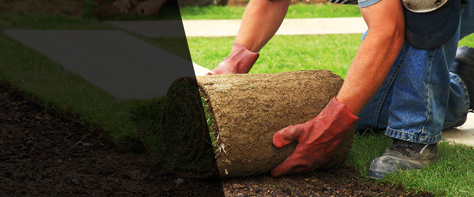 Conyers Landscapers